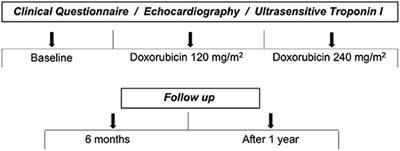 Early Change in Area Strain Detected by 3D Speckle Tracking Is Associated With Subsequent Cardiotoxicity in Patients Treated With Low Doses of Anthracyclines